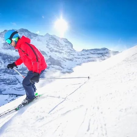 Allod Park Haus C 605 By Interhome Apartman Davos